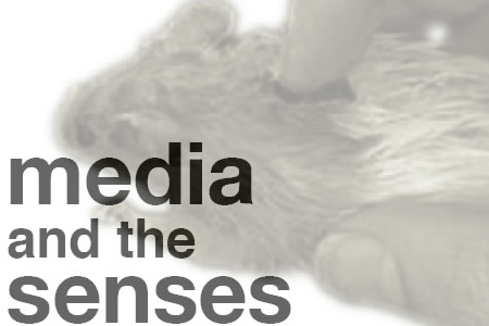 Hum 498: Media & the Senses